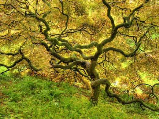 43273 (a): :1600x1200